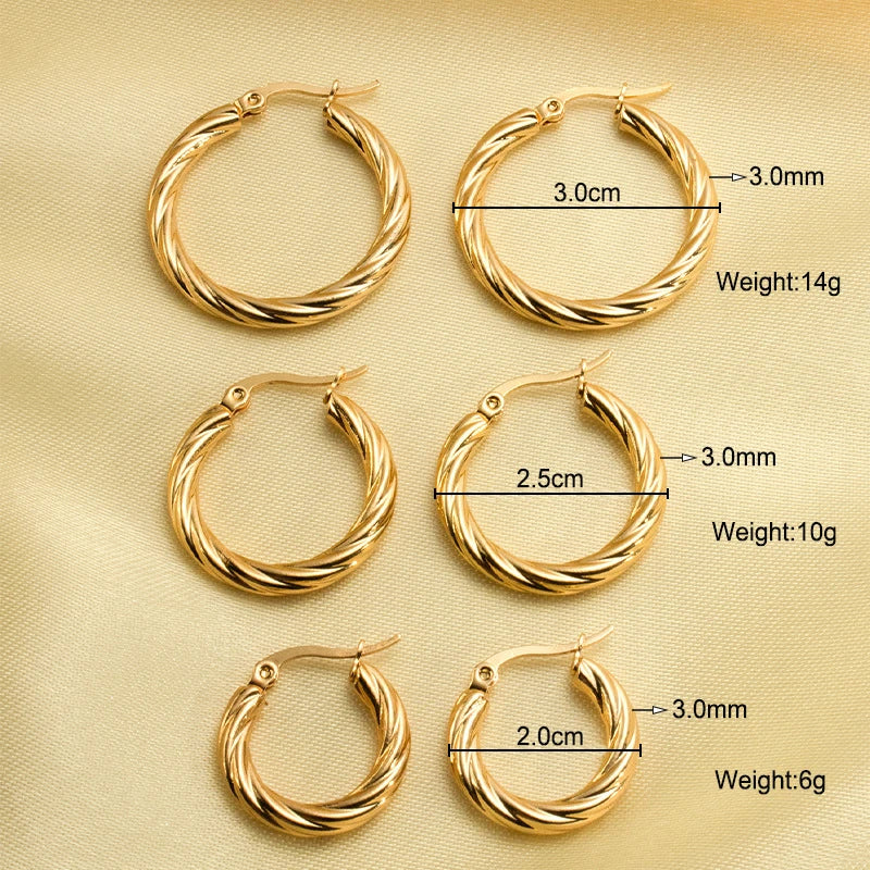 Classic Trendy Twisted Round Hoop Earrings For Women Stainless Steel 3mm Thick Ear Buckle Earrings Vintage Jewelry Accessories