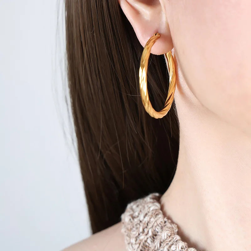 Classic Trendy Twisted Round Hoop Earrings For Women Stainless Steel 3mm Thick Ear Buckle Earrings Vintage Jewelry Accessories
