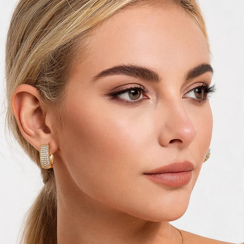Luxury AAAA Zirconia Round Huggie Hoop Earrings For Women Geometric Ear Buckle Wedding Engagement Party Trendy Classic Jewelry