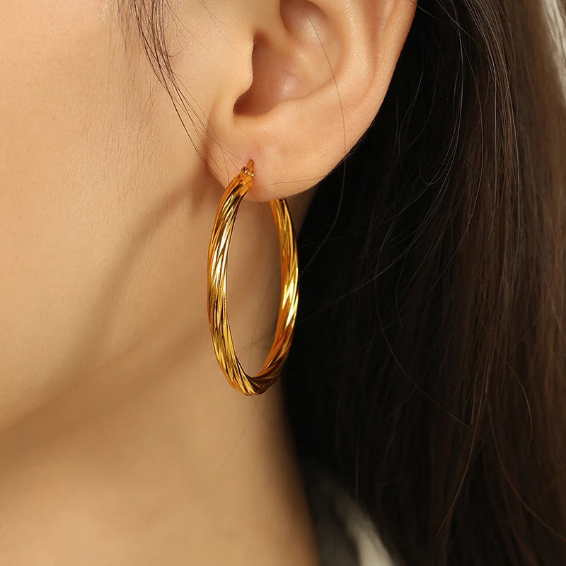 Classic Trendy Twisted Round Hoop Earrings For Women Stainless Steel 3mm Thick Ear Buckle Earrings Vintage Jewelry Accessories